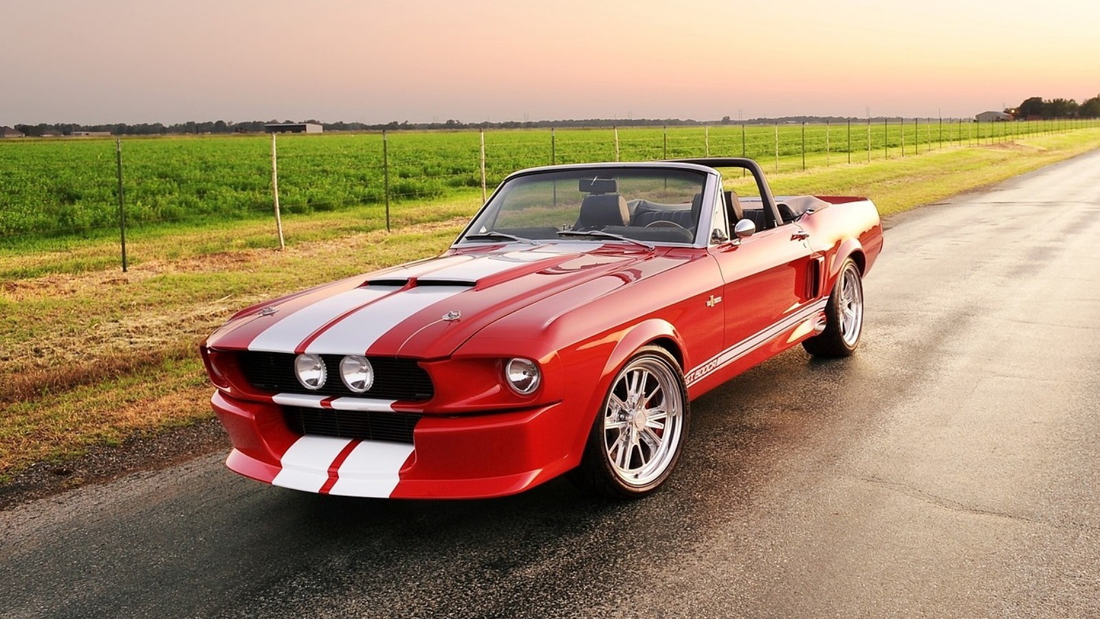 Ford mustang shelby gt500 convertible